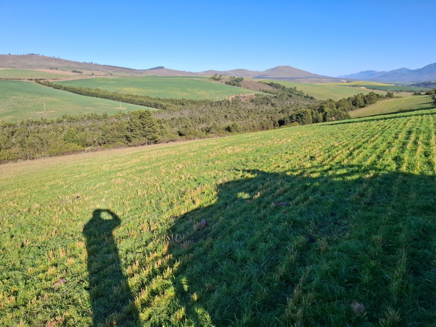 9 Bedroom Property for Sale in Riversdale Rural Western Cape